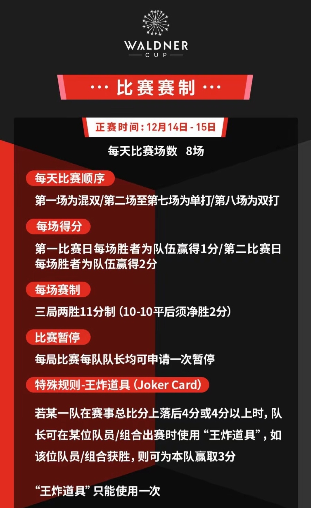 开云官网-球队实力对决，赛场争分夺秒