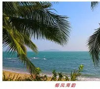 开云体育app-海南椰风队员擒贼先擒王，将进攻优势转化为胜利果实！