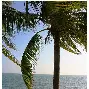 海南椰风队员擒贼先擒王，将进攻优势转化为胜利果实！