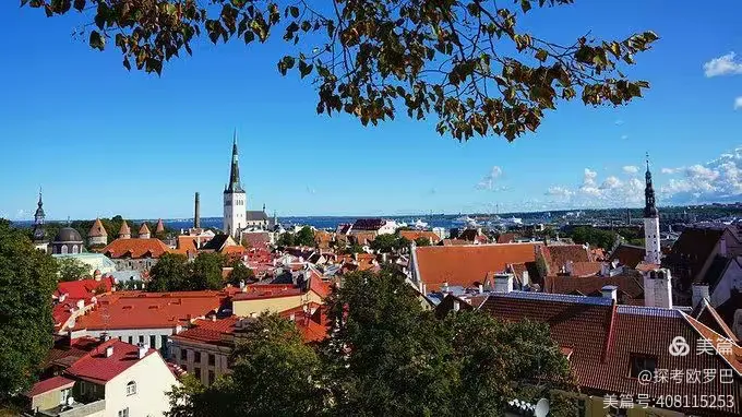 开云官网-爱沙尼亚青年击剑选手刷新纪录，称霸赛场